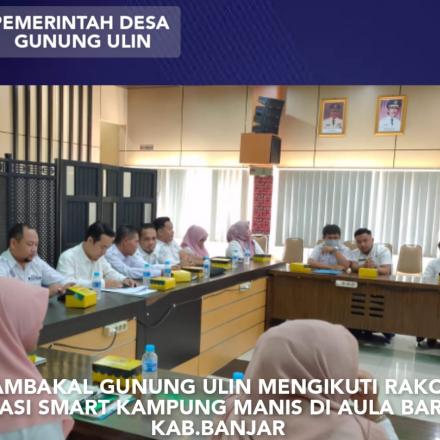 PENYAMAAN PERSEPSI DALAM RAKOR APLIKASI SMART KAMPUNG MANIS DI AULA BARAKAT KAB. BANJAR